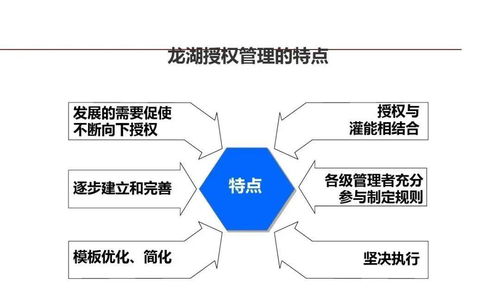 龙湖集团 以精细化管理铸就卓越企业运营典范